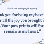 500+ Thank You Messages for My Dog Who Passed Away