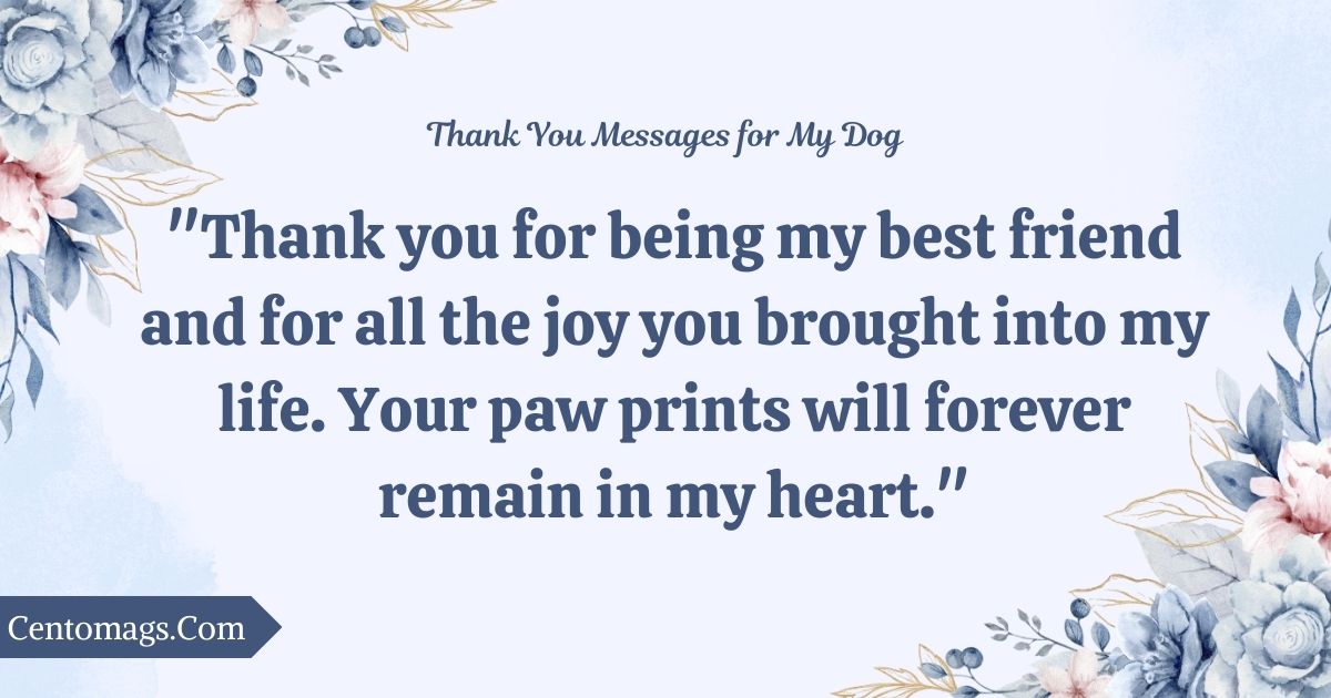 500+ Thank You Messages for My Dog Who Passed Away