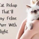 cat-pickup-lines