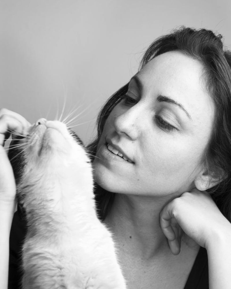 cat-pickup-lines-bold-cat-themed-advances