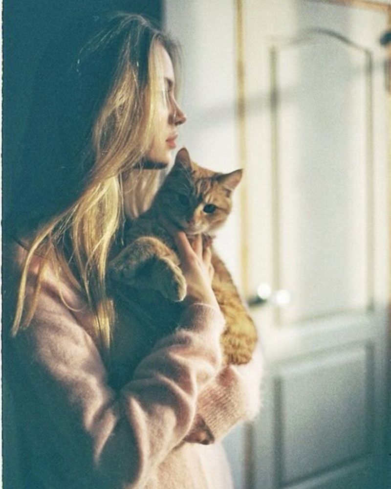 cat-pickup-lines-classic-cheddar-level-cat-puns