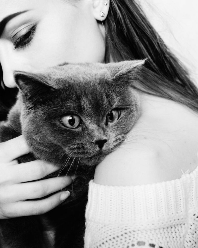 cat-pickup-lines-elegant-whisker-wisdom