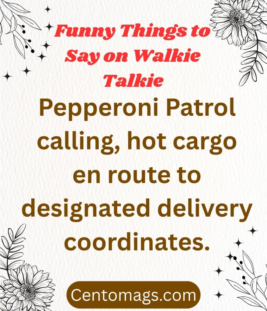 funny-things-on-walkie-talkie-pizza-delivery