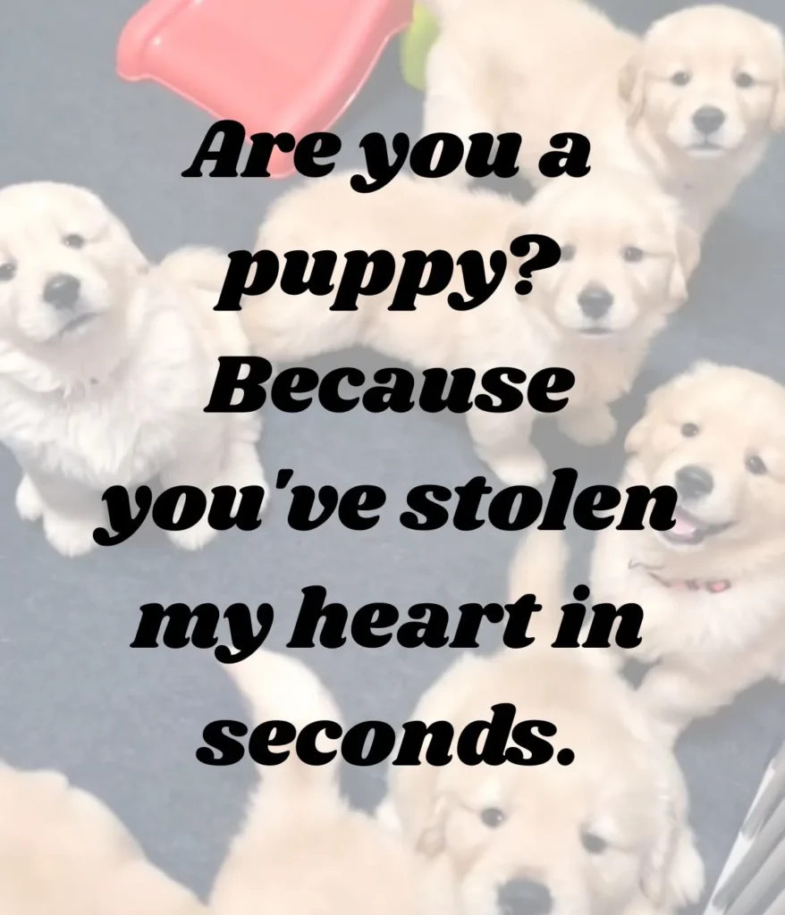 cute-dog-pick-up-lines