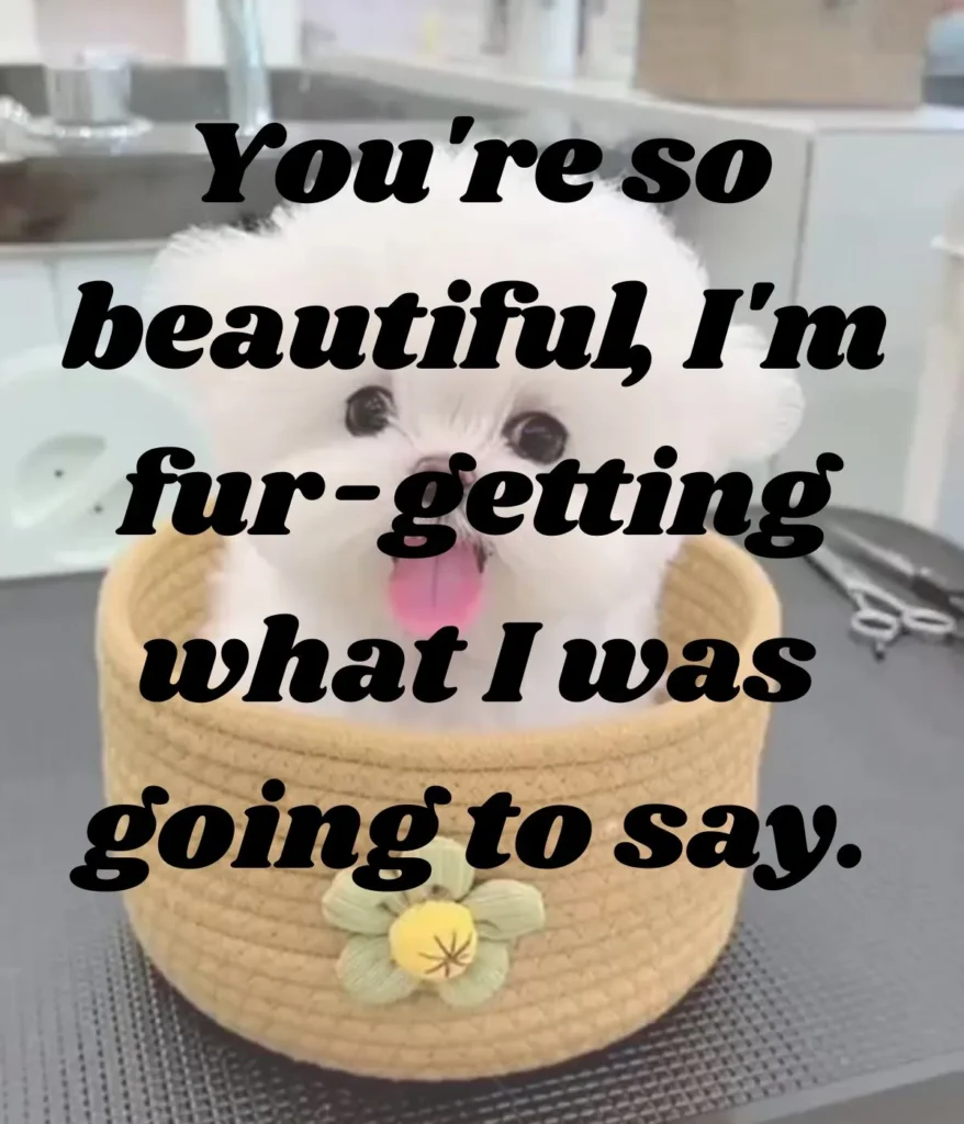 funny-dog-pickup-lines