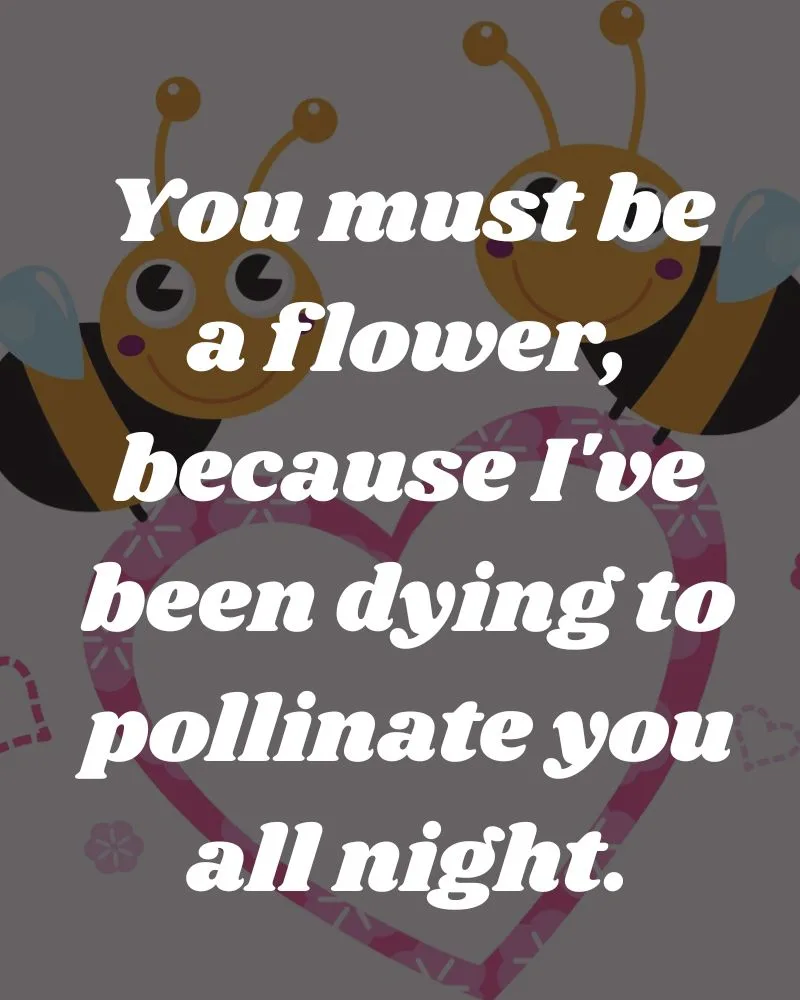 romantic-bees-pick-up-lines