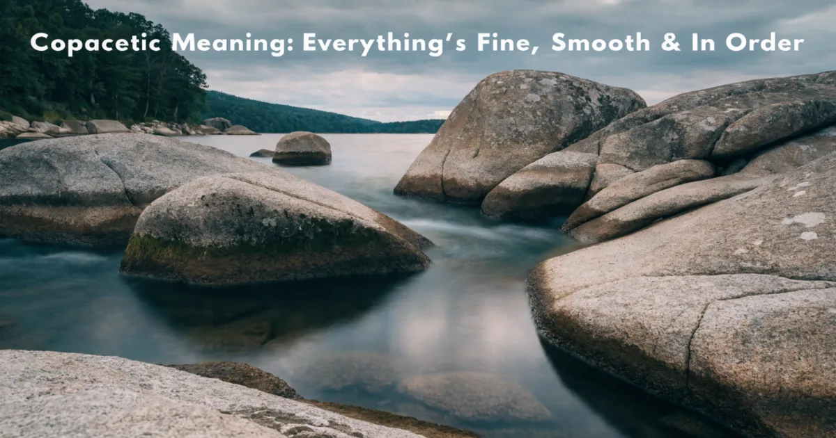 copacetic-definition
