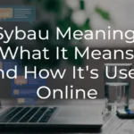 sybau-definition